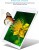 Защитное стекло Baseus для iPad 2017 10.5" 0,3мм SGAPIPD-TGBF