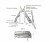 Мультитул Xiaomi NexTool Knife Pro Multi-function серебристый